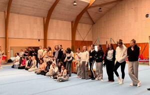 Gym: championnat departemental