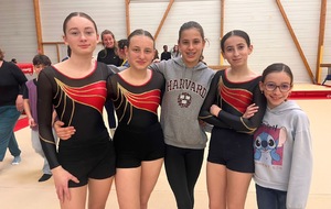 Départementaux de gymnastique