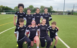 Championnat de France excellence Ultimate